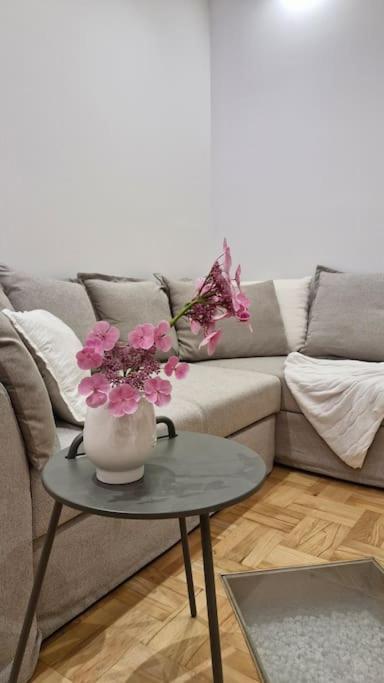 Apartment Mala Lu Varazdin